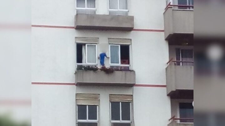 Criança estava pendurada fora da janela (Foto: Reprodução, redes sociais)