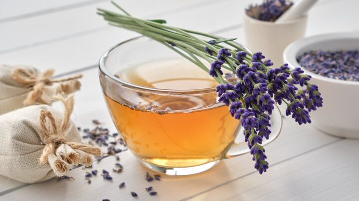 Os chás de ervas podem oferecer muitos benefícios à saúde (Imagem: LN team | Shutterstock)