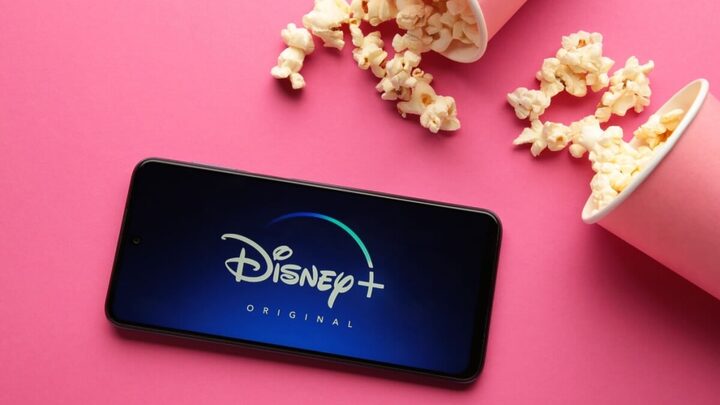 Novembro reserva grandes produções no Disney+ (Imagem: Mouse Family | Shutterstock)