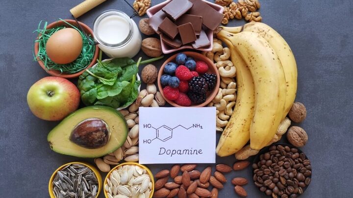 Escolhas alimentares e dopamina se encontram em um ciclo de recompensa e desejo (Imagem: Danijela Maksimovic | Shutterstock)