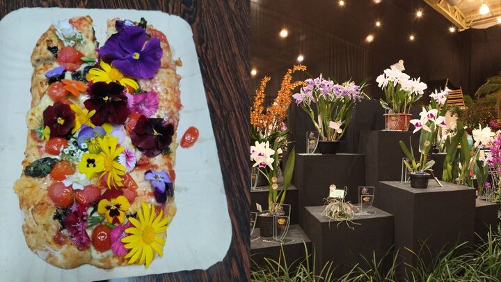Pizza com flores comestíveis vai ser servida na festa (Foto: Festa das Flores, Divulgação)
