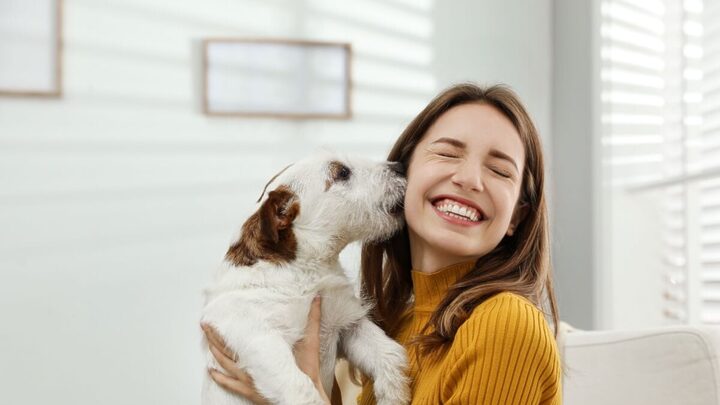 Antes de ter um pet, é necessário entender as responsabilidades de um tutor (Imagem: New África | Shutterstock)