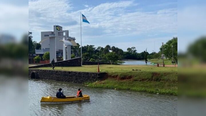 Jacaré solto em lago em SC gera buscas na região.