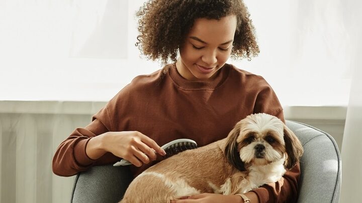 Escovar os pelos dos animais é fundamental para mantê-los saudáveis (Imagem: SeventyFour |  Shutterstock)
