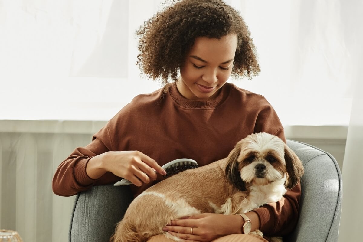 Escovar os pelos dos animais é fundamental para mantê-los saudáveis (Imagem: SeventyFour |  Shutterstock)