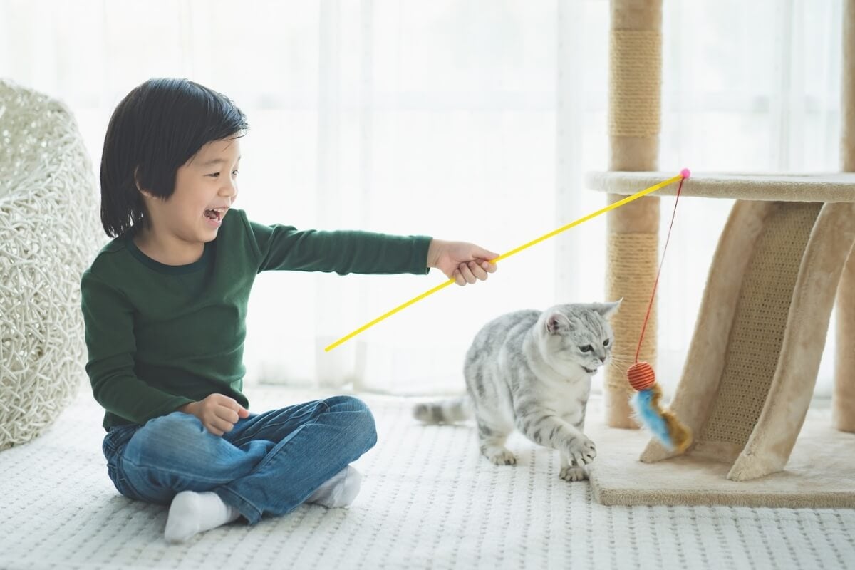 Os gatos podem criar conexões fortes com os humanos (Imagem: ANURAK PONGPATIMET | Shutterstock)