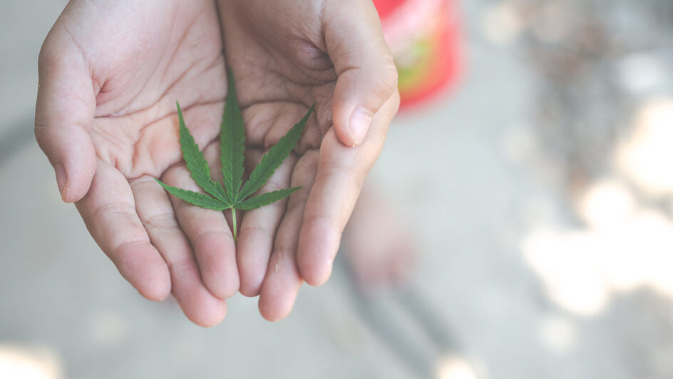 Cannabis medicinal