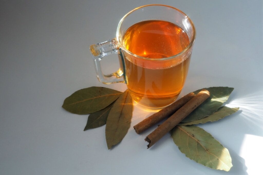Chá de louro com cravo-da-índia e canela (Imagem: Nick Alias | Shutterstock)
