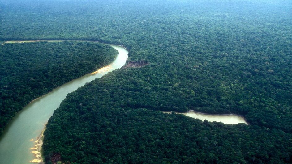Aporte é para o Fundo Amazônia (Foto: Banco de imagens)