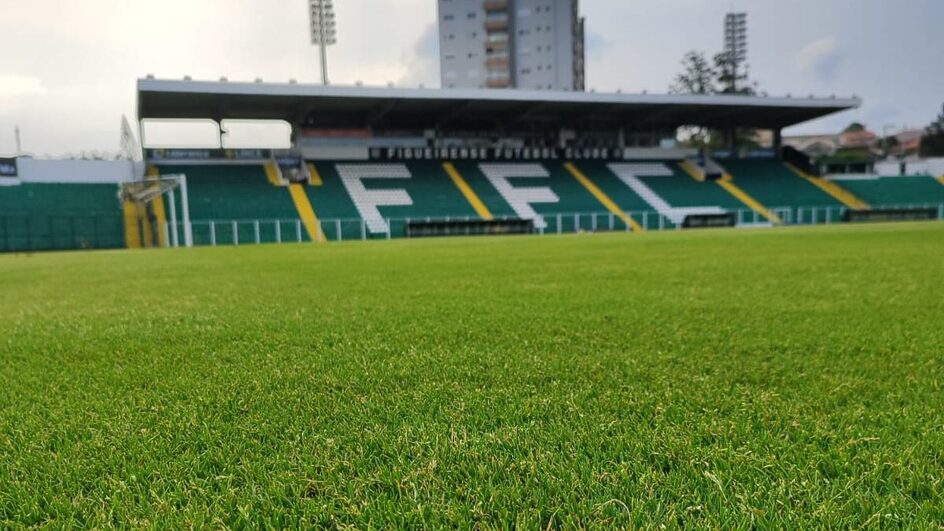 Figueirense Orlando Scarpelli (Foto: Fábio Cardoso, NSC)