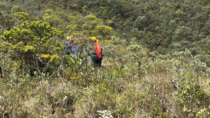 Buscas já tinham completado seis dias (Foto: Guilherme Barbosa, NSC TV)