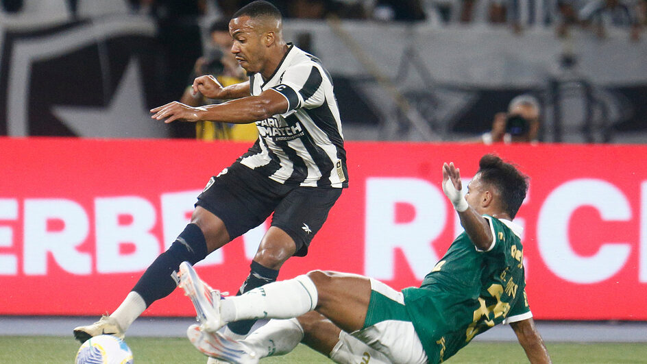 Palmeiras x Botafogo onde assistir ao vivo, horário e escalações