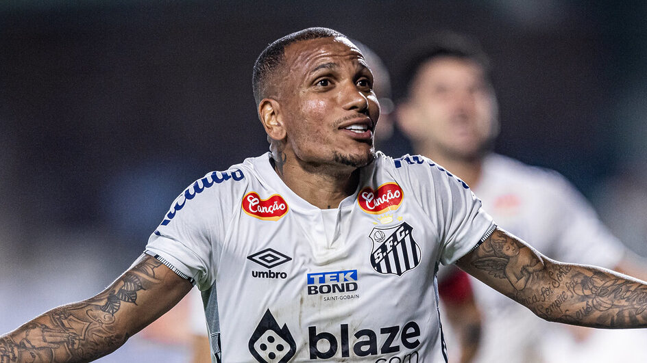 Série B 2024 Santos garante acesso, mas ainda pode mudar rumos da competição