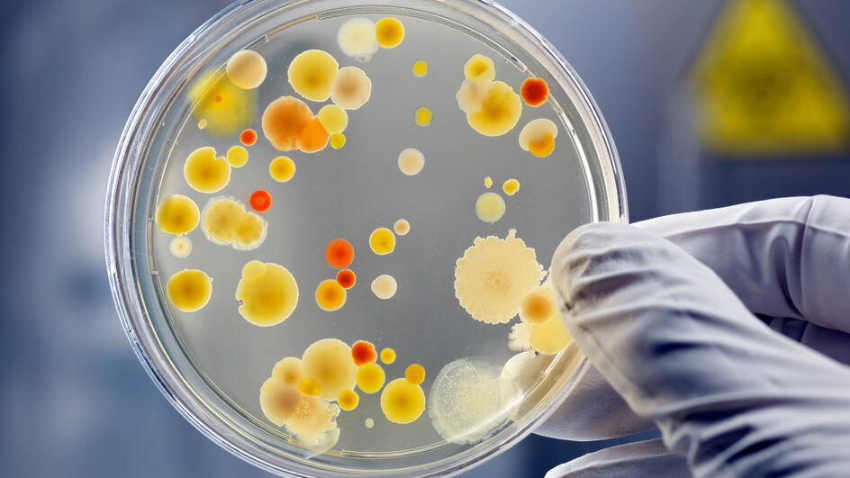 Superbactéria resistente a antibióticos se espalha pela Ásia