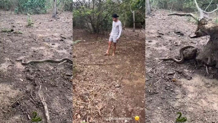 VÍDEO de folga, Luan Santana é surpreendido por sucuri no Pantanal