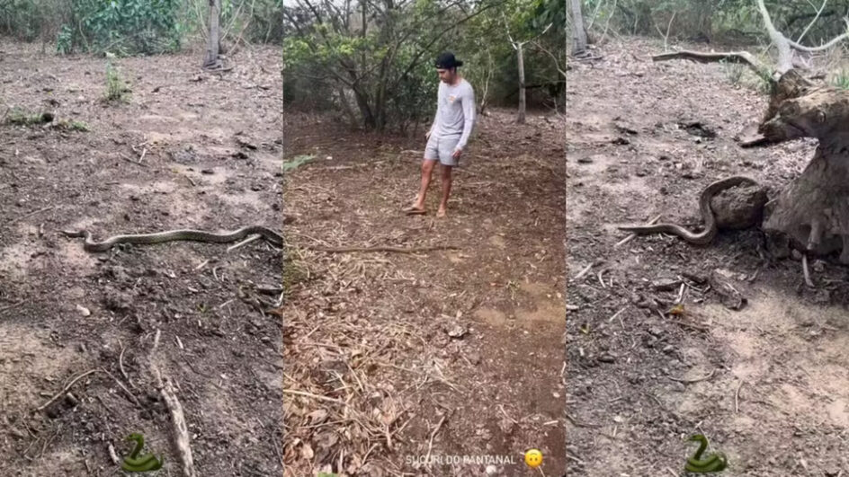 VÍDEO de folga, Luan Santana é surpreendido por sucuri no Pantanal