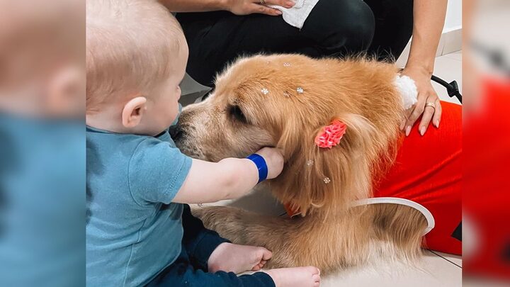 Laila visitou pacientes no hospital de Joinville (Foto: Hapvida, Divulgação)