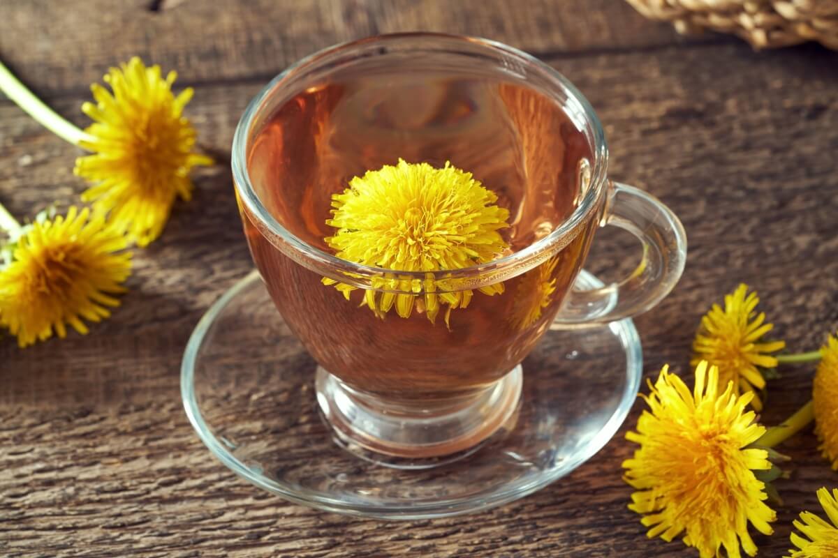 Chás e infusões favorecem a saúde do corpo (Imagem: Madeleine Steinbach | Shutterstock)