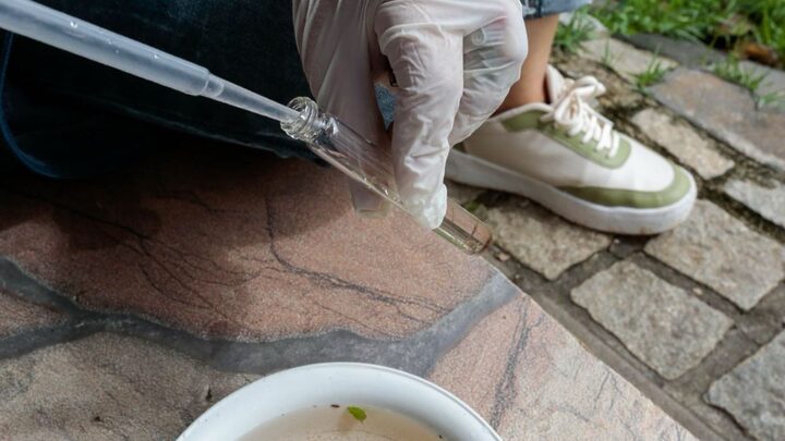 Sintomas incluem dores musculares e nas articulações, atrás dos olhos e manchas vermelhas na pele (Foto: prefeitura de Joinville)
