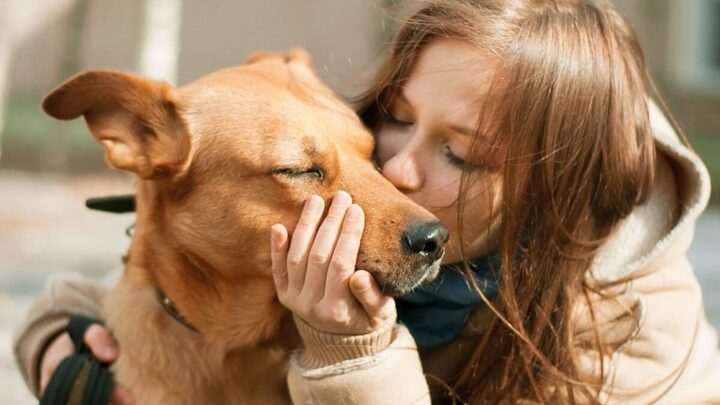 Uma relação próxima com o cachorro facilita a convivência no dia a dia (Imagem: Sopeya | Shutterstock)