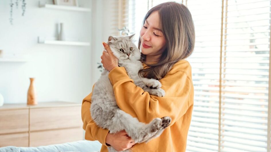 Ter um gato é abrir espaço para momentos de carinho e alegria, com uma companhia única e tranquila para o lar (Imagem: oatawa | Shutterstock)