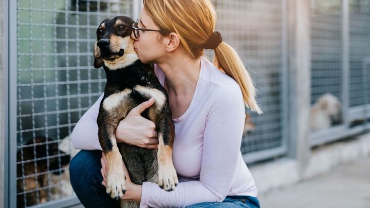 Voluntária de abrigo abraçada com cachorro