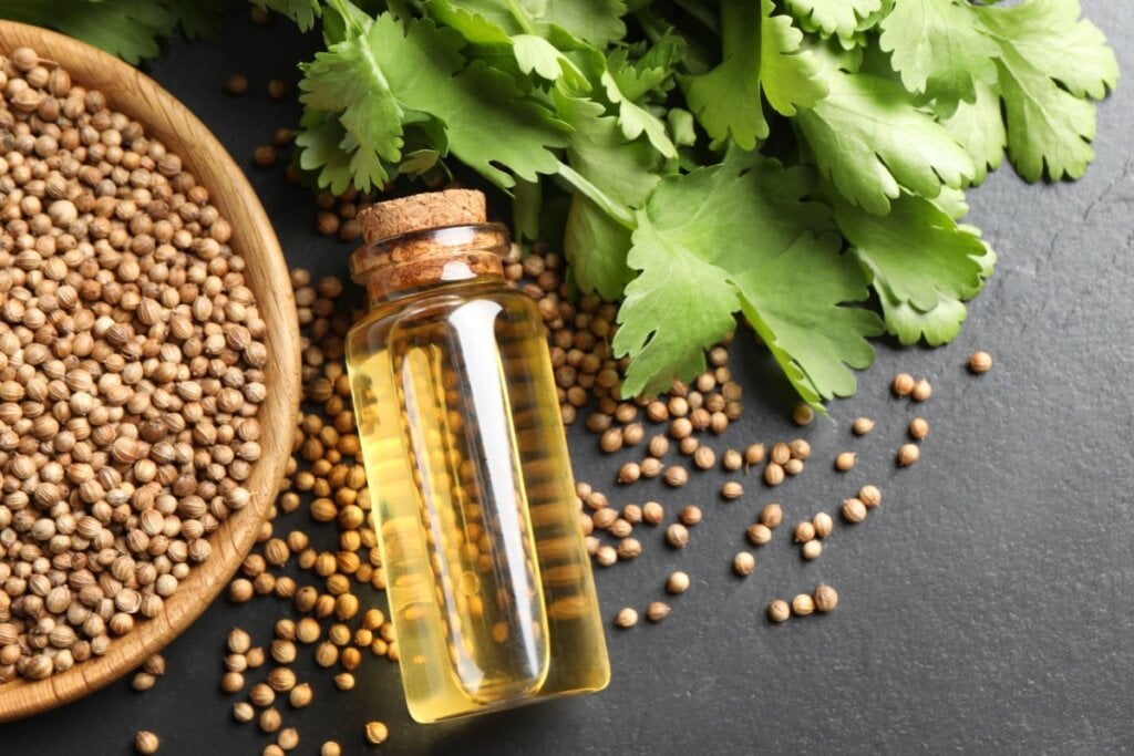 O coentro possui propriedades analgésicas e anti-inflamatórias (Imagem: New Africa | Shutterstock)