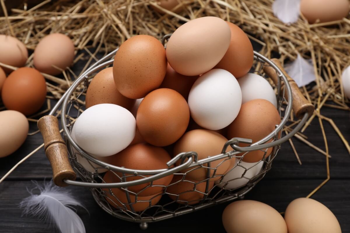 O ovo é um alimento completo e traz diversos benefícios para saúde (Imagem: New Africa | Shutterstock)