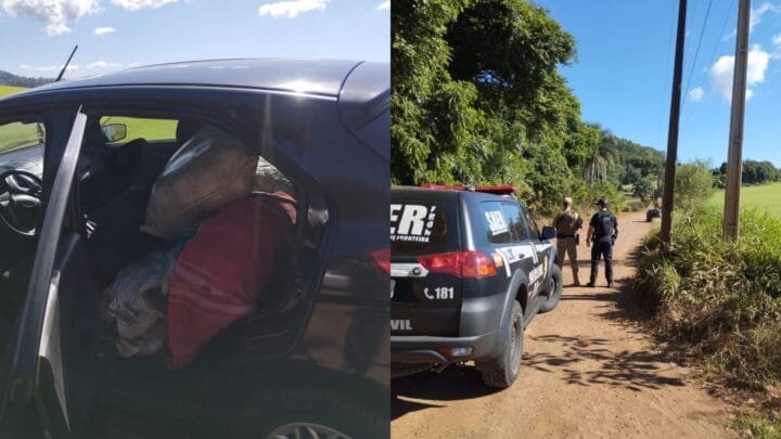 Carga de supermaconha é descoberta após abordagem a motorista fujão em Chapecó
