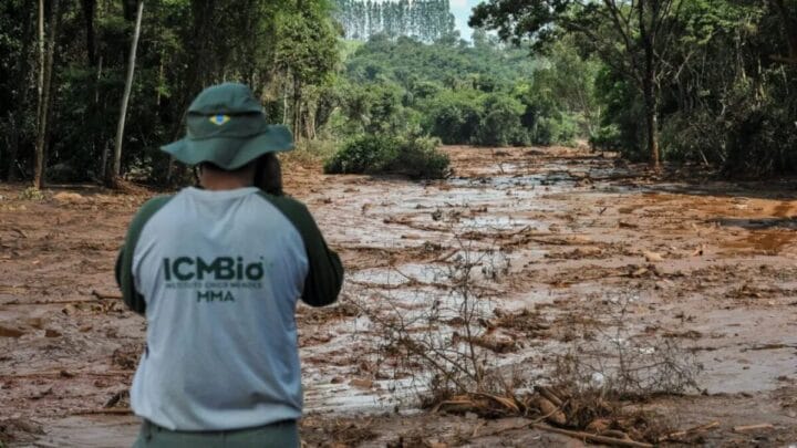 Concurso ICMBio 350 vagas são abertas com salário inicial de R$ 8,8 mil