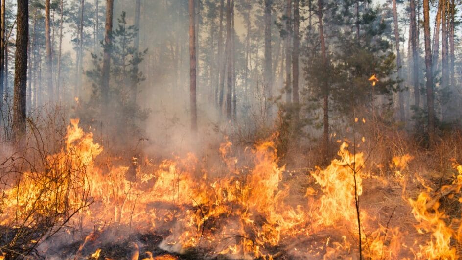 Crise climática 25 dos 35 sinais vitais do planeta estão em níveis recordes de deterioração