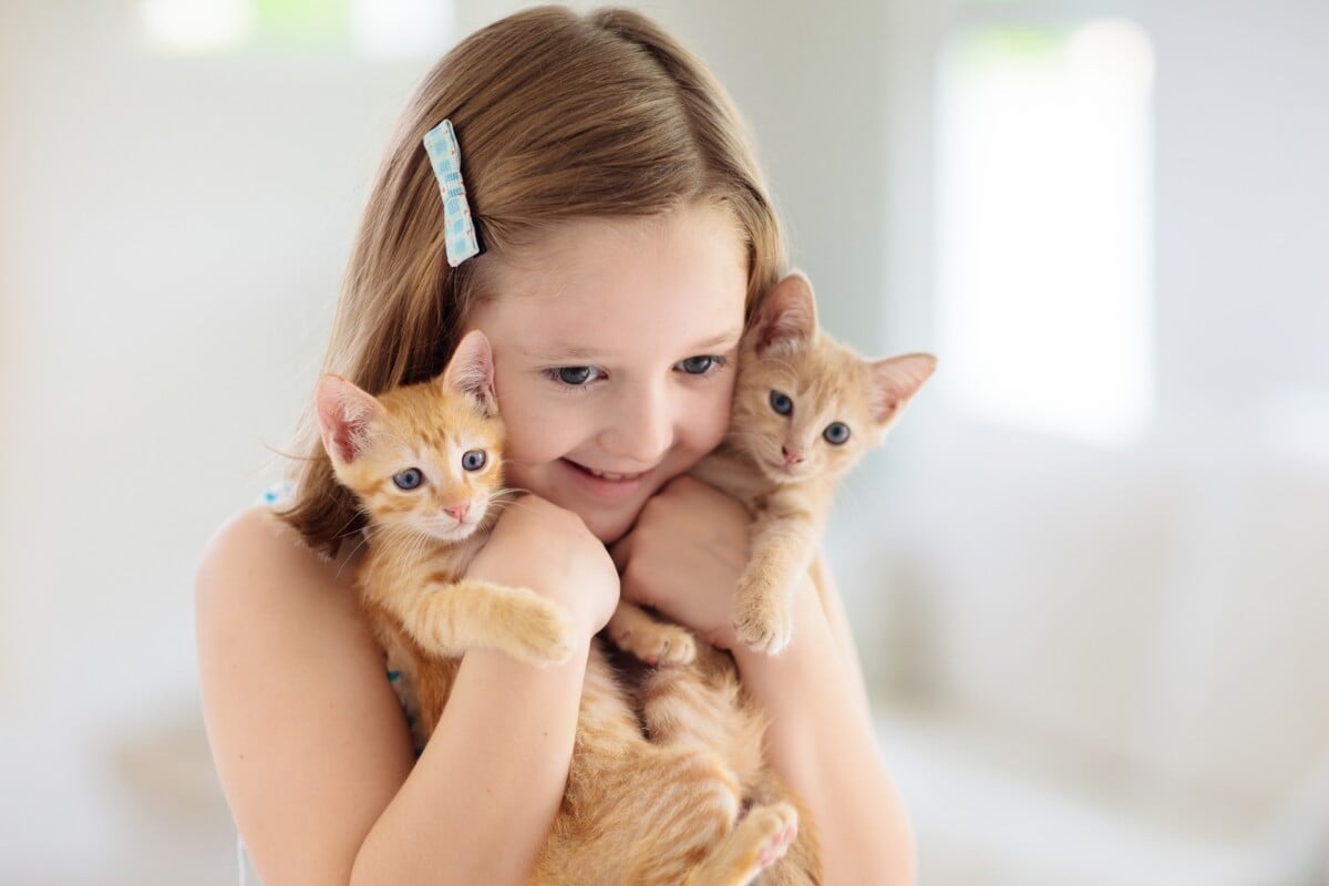 Adotar alguns cuidados na convivência dos gatos com as crianças ajuda a criar um ambiente equilibrado (Imagem: FamVeld 
 | Shutterstock)