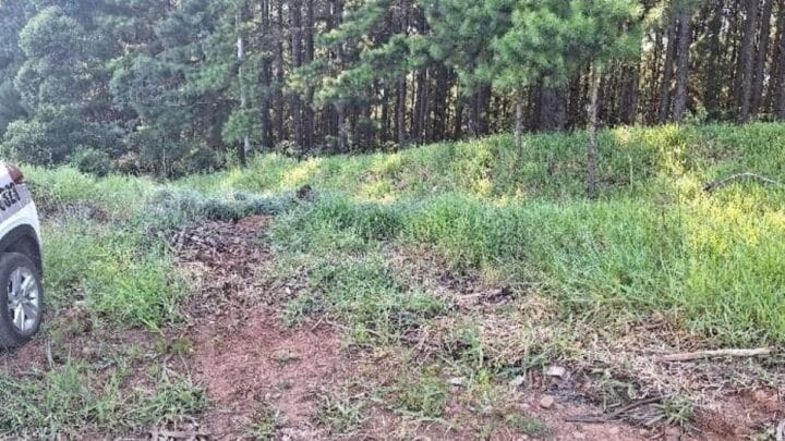 Homem é suspeito de matar companheira no Extremo-Oeste e fugir para a Argentina
