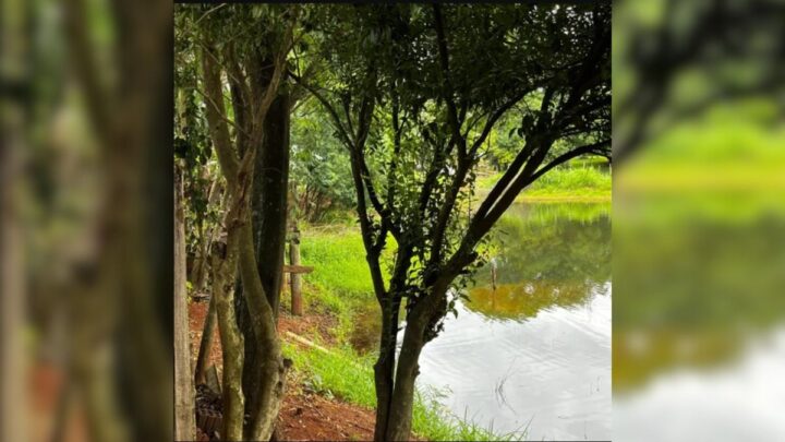 Idosa morre afogada em SC e é localizada em açude.