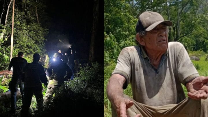 Idoso de 80 anos morre após ser atingido por uma árvore no Sul de SC