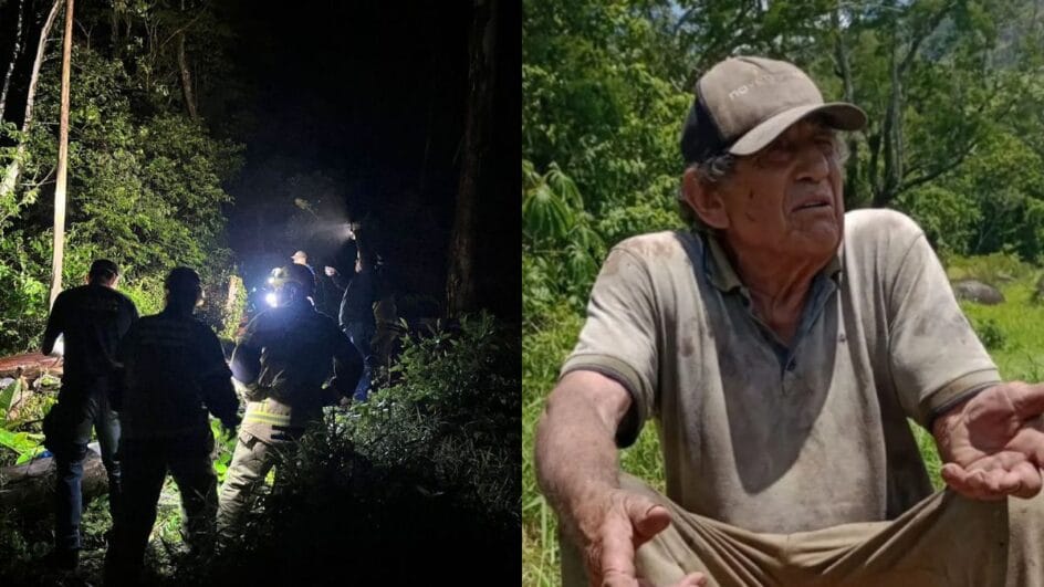 Idoso de 80 anos morre após ser atingido por uma árvore no Sul de SC