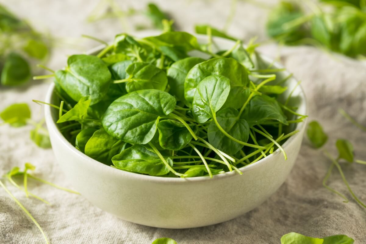 O agrião é rico em nutrientes essenciais para o corpo (Imagem: Brent Hofacker | Shutterstock)