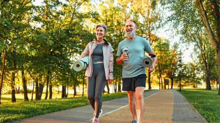 O cuidado com a saúde vascular deve ser mantido mesmo no fim de ano (Imagem: Harbucks | Shutterstock)