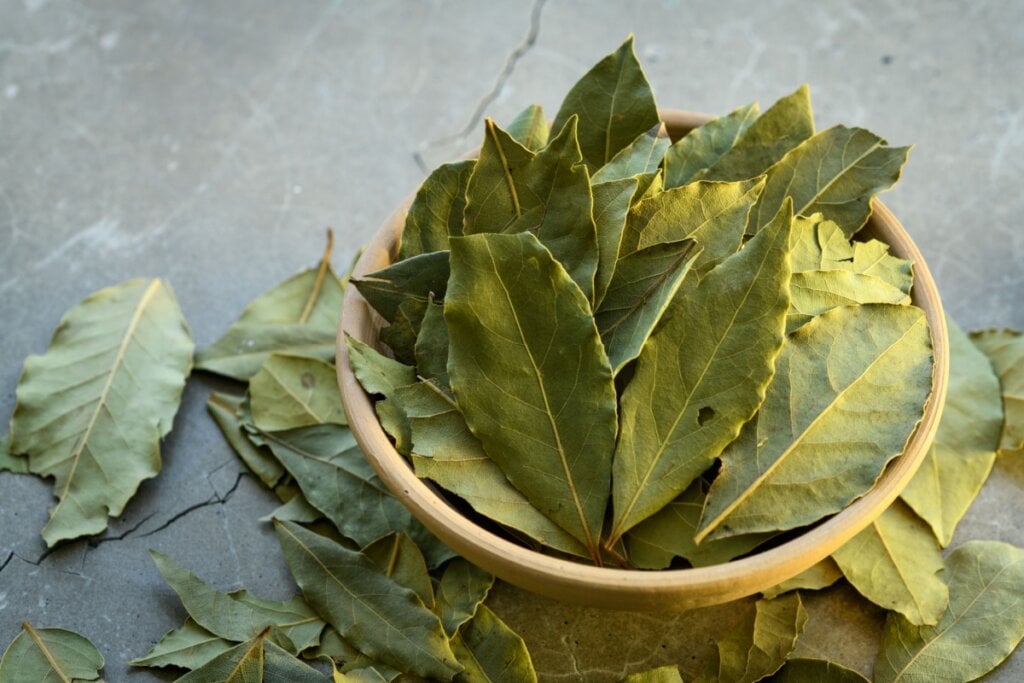 O louro ajuda a remover energias negativas (Imagem: ImpressionMall | Shutterstock)