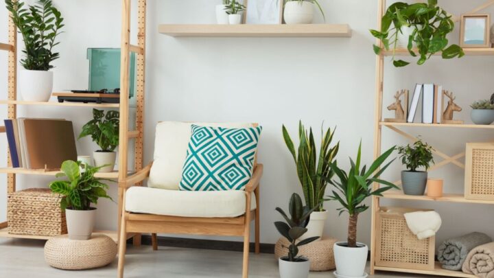 As plantas trazem vida para a decoração e refrescam o ambiente (Imagem: New Africa | Shutterstock)