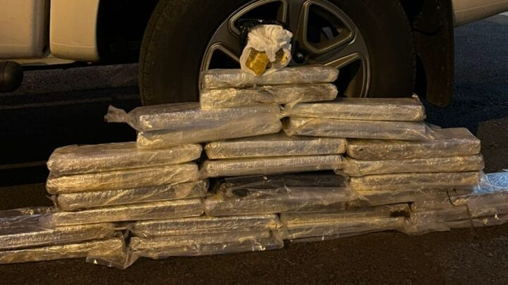 Cheio forte de café revela tráfico de drogas em rodovia de SC