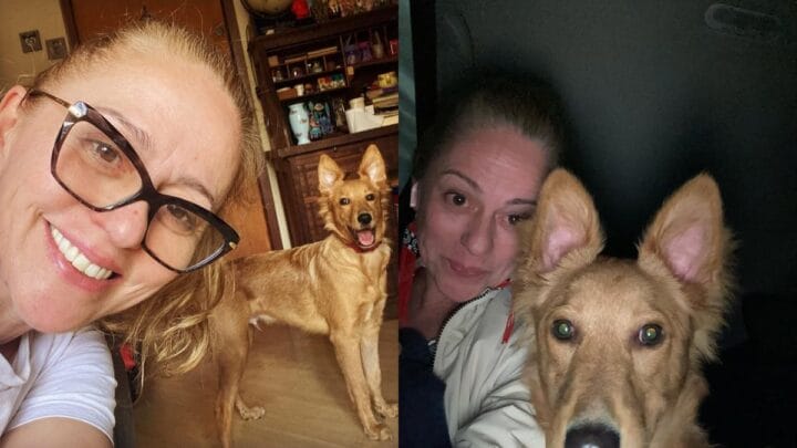 Atriz Guta Stresser, de A Grande Família, perdeu pet em Itapoá (Foto: Redes sociais, reprodução)