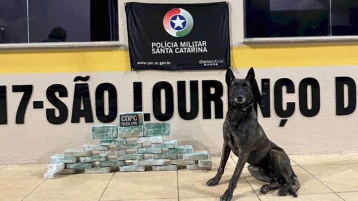 Caminhoneiro é preso no Oeste de SC com carregamento de crack que iria para o RS