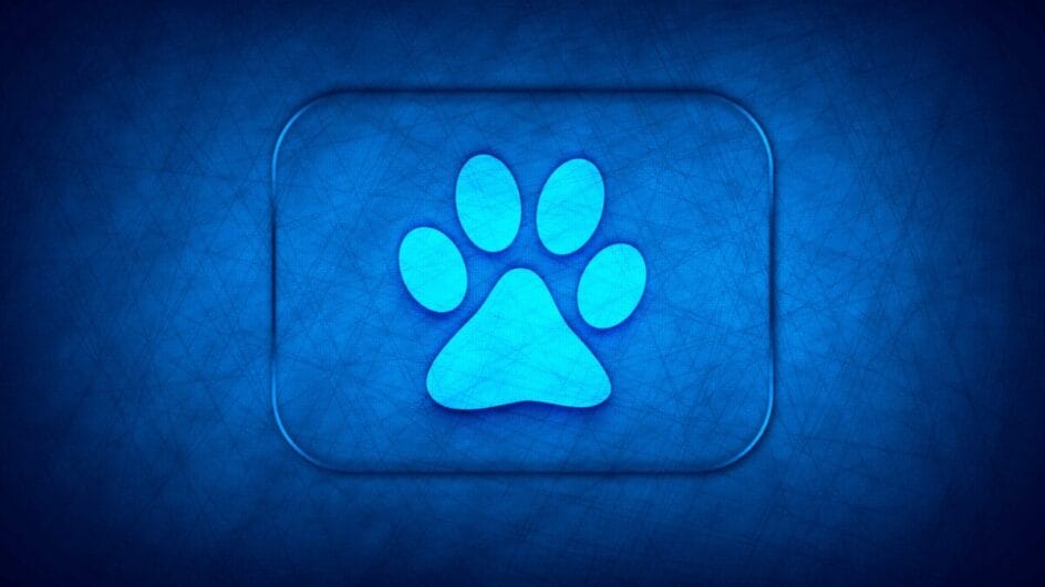 Pet Tech: como a tecnologia está transformando os cuidados com animais domésticos?