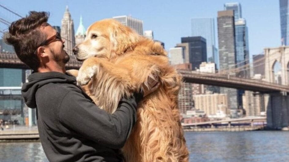 O ator global cotado para viver Jesse em filme sobre viajante e cão Shurastey