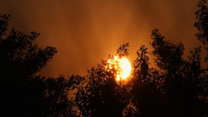 Joinville beira os 40°C e SC tem dia de calorão em todas as regiões do Estado