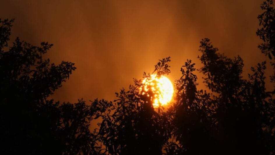 Joinville beira os 40°C e SC tem dia de calorão em todas as regiões do Estado