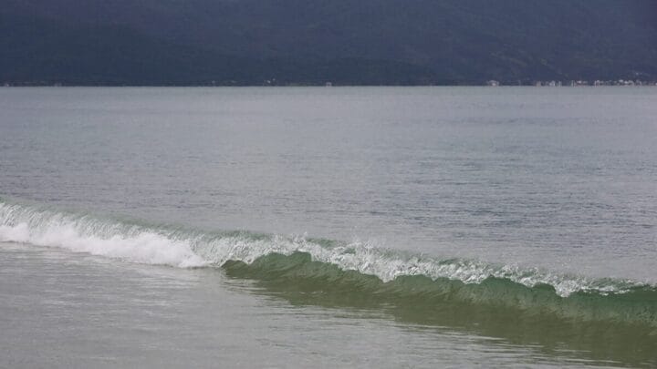 Lista mostra quais praias de Florianópolis estão impróprias para banho de mar