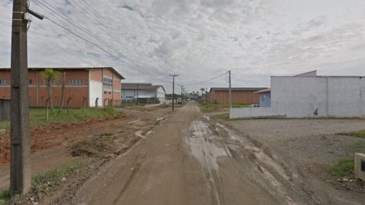 Pitbull morreu durante ataque em Araquari (Foto: Google Maps, Reprodução)