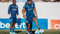 William Pottker Avaí (Foto: divulgação, Avaí FC)